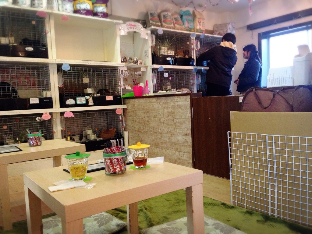 東京自由が丘でモフモフ うさぎとふれあえるカフェ ラフ Yuki Co Yuki ユキコユキ