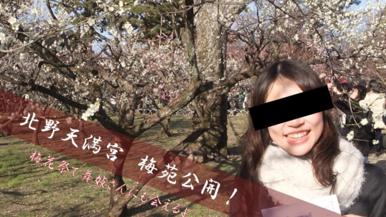 梅花祭で舞妓さんにも会える 京都北野天満宮の梅苑へ行こう Yuki Co Yuki ユキコユキ