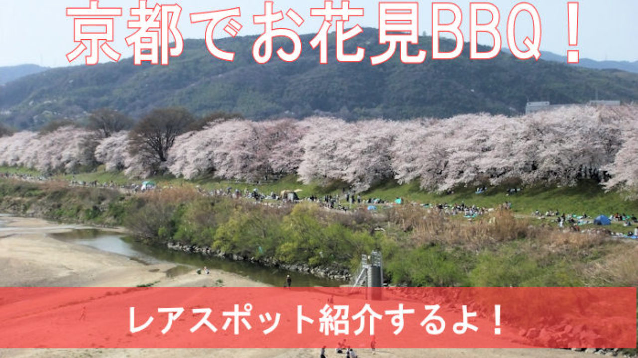 京都でお花見bbqができる場所５選 マナーを守って楽しもう Yuki Co Yuki ユキコユキ