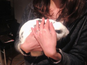 rabbit-hug4