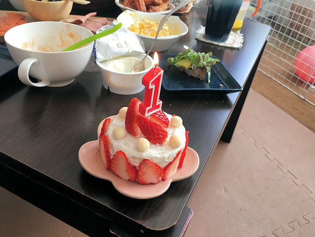 1歳の誕生日パーティー おうちで赤ちゃん用ケーキを簡単手作り Yuki Co Yuki ユキコユキ