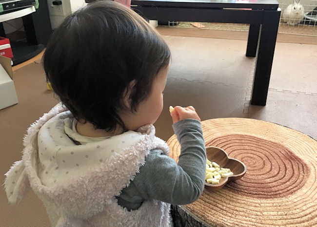 1歳の娘が大好きなおやつ 手作り蒸しパンや赤ちゃん煎餅をご紹介 Yuki Co Yuki ユキコユキ