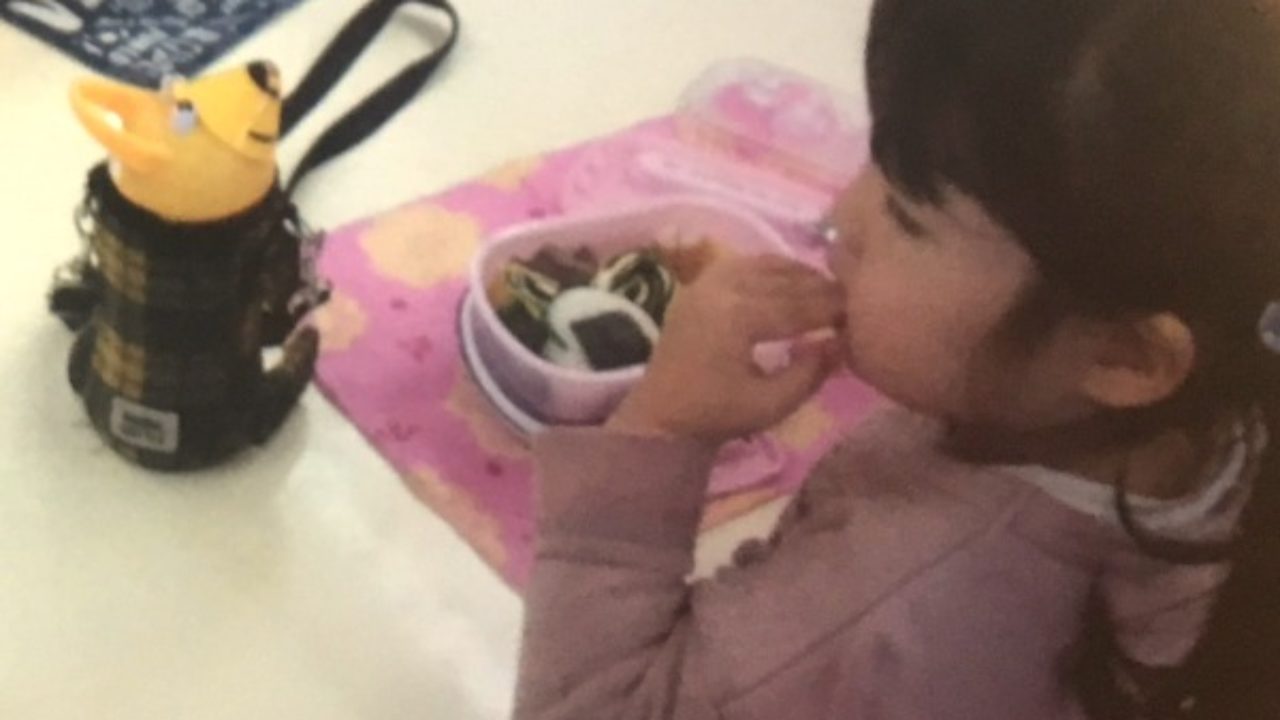 初めての弁当箱を購入 幼稚園年少で使いやすいサイズとタイプは Yuki Co Yuki ユキコユキ