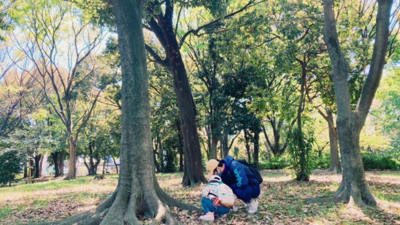 お散歩でお花探し ポケット図鑑を持って4歳とおでかけが楽しい Yuki Co Yuki ユキコユキ